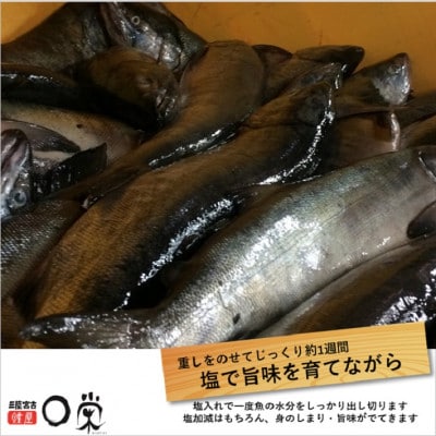 三陸の伝統的な製法でつくる寒風干し鮭 切身セット (150g×8パック)【配送不可地域：離島】【1521574】