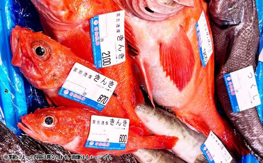 ãäžéžå³éžã岩è¹ååºããŸããæµ·ç£ç©è©°ãåããã»ãããé
éäžå¯å°åïŒé¢å³¶ã»æ²çžçã»ä¹å·ãã1298317ã