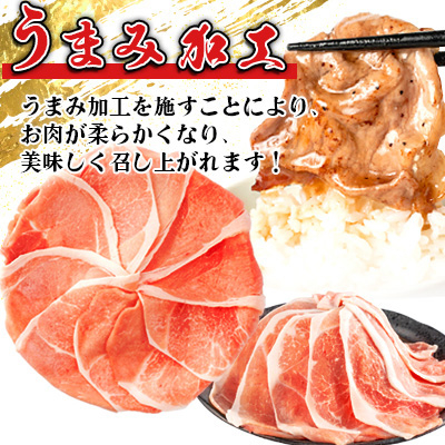 螳カ險亥ソ懈抄!蝗ス逕」 雎夊i 險3kg!(300gテ10P) 雎 蛻繧願誠縺ィ縺 蟆丞縺代〒萓ソ蛻ゥ縲宣埼∽ク榊庄蝨ー蝓滂シ夐屬蟲カ縲代1658904縲