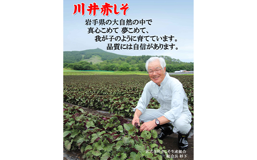 川井ペリーラ飲料 720ml×2本【1622324】