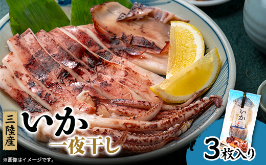 イカ一夜干し3枚入×1p【配送不可地域：離島】【1614056】
