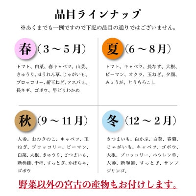 【新鮮野菜】こだわり厳選!旬の野菜セット【配送不可地域：離島・北海道・沖縄県】【1374254】