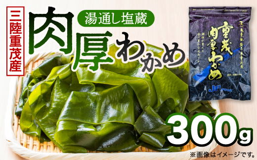 【三陸重茂産わかめ】湯通し塩蔵　肉厚わかめ　300g【配送不可地域：離島】【1685350】