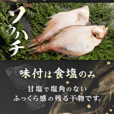 縲先ッ取怦螳壽悄萓ソ縲代舌°繧後>蟆る摩蠎励代%縺繧上j縺ョ蟷イ縺九l縺蜈螳溘そ繝繝亥ィ3蝗槭宣埼∽ク榊庄蝨ー蝓滂シ夐屬蟲カ縲代4087792縲
