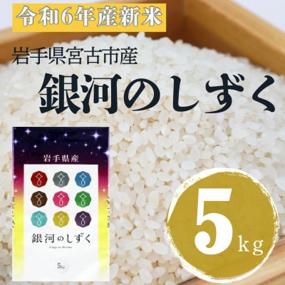 【令和6年産】岩手県産銀河のしずく 精米 5kg【1572254】