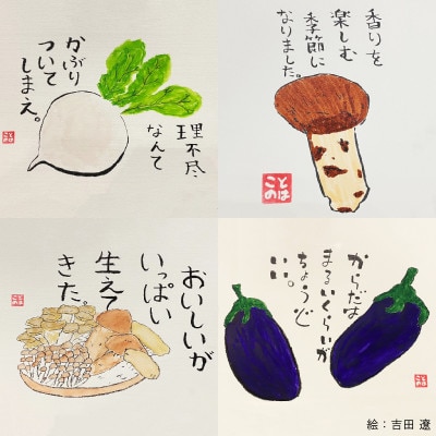 【新鮮野菜】こだわり厳選!旬の野菜セット【配送不可地域：離島・北海道・沖縄県】【1374254】