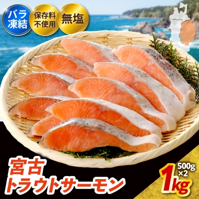 無添加・無塩　トラウトサーモン切身1kg入り【配送不可地域：離島】【1632507】