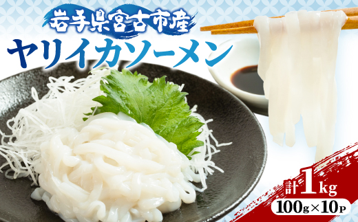 ヤリイカソーメン宮古産100g×10パック(1kg)【配送不可地域：離島】【1702175】