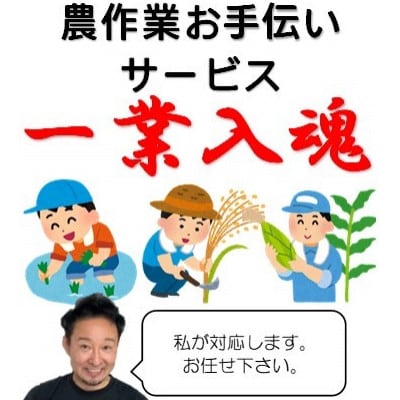 岩手県宮古市　農作業お手伝いサービス【1回(1日):7時間以内】【1361022】