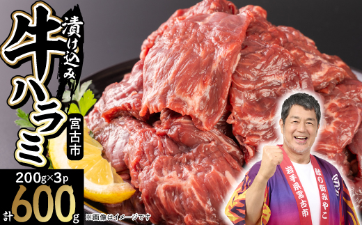 吉田精肉店の漬け込み牛ハラミ 600g(200g×3パック)【配送不可地域：離島】【1633988】