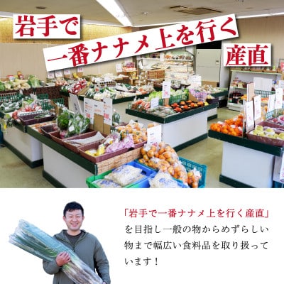 【新鮮野菜】こだわり厳選!旬の野菜セット【配送不可地域：離島・北海道・沖縄県】【1374254】