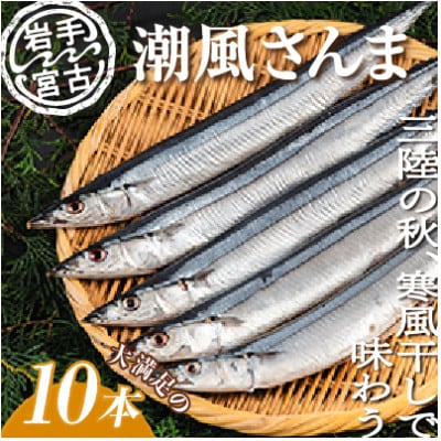 いか一夜干し1p・潮風さんま4本・塩うに1ケ　3種セット【配送不可地域：離島】【1462936】