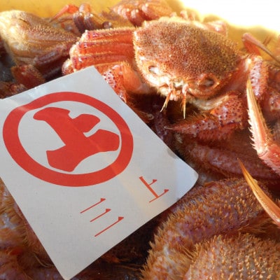 三陸宮古産　活毛ガニ　300g〜350g×2杯【配送不可地域：離島・沖縄県・九州】【1711353】