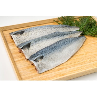さば　フィーレ・フィレ　3kg【配送不可地域：離島】【1722186】