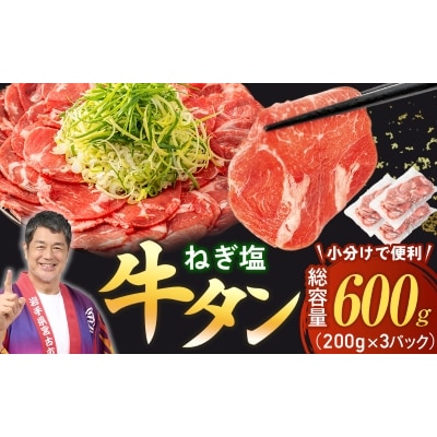 【訳あり】宮古のねぎ塩牛タン 600g 成型肉【配送不可地域：離島】【1690815】