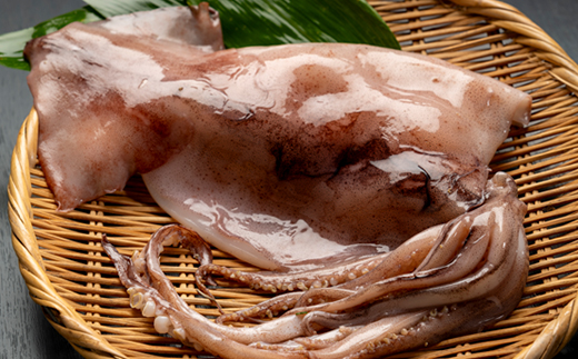 繧、繧ォ荳螟懷ケイ縺3譫壼・テ1p縲宣埼∽ク榊庄蝨ー蝓滂シ夐屬蟲カ縲代1614056縲