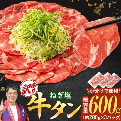 【訳あり】宮古のねぎ塩牛タン 600g 成型肉【配送不可地域：離島】【1690815】