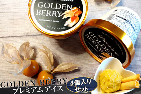 ネクスファームのゴールデンベリープレミアムアイス　4個入りセット 【1938】