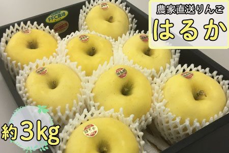 陷懷・繧 縺ッ繧九°3kg 縺繧上※闃ア蟾サ 縲811縲