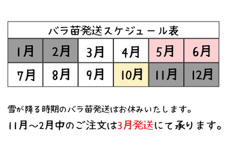 花巻温泉バラ園 オリジナル品種「ハートローズ95」大苗<2025年3月より随時発送> 【2049】