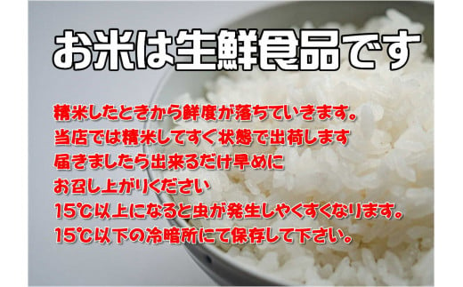 【令和6年産】岩手県産ひとめぼれ3kg 【1818】