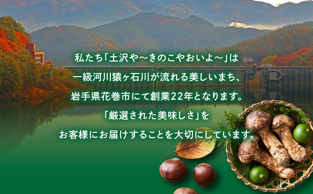 【早期予約】岩手県産 天然 土沢松茸 350g 3～5本 朝獲れ【贈答用】 【2074】