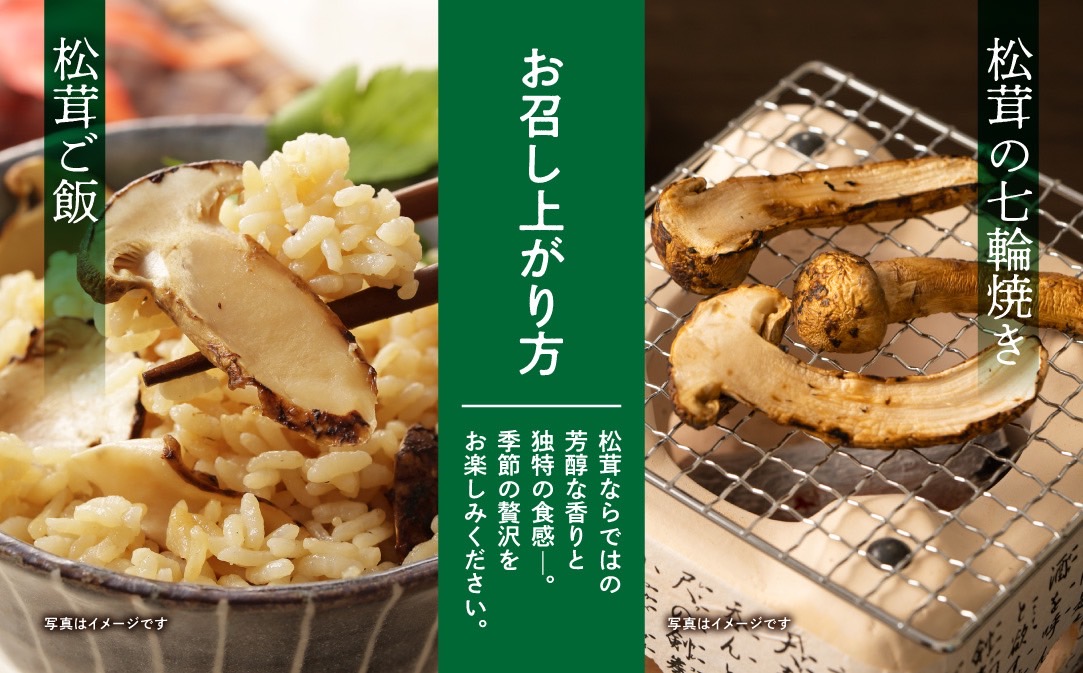 【早期予約】岩手県産 天然 土沢松茸 350g 3～5本 朝獲れ【贈答用】 【2074】