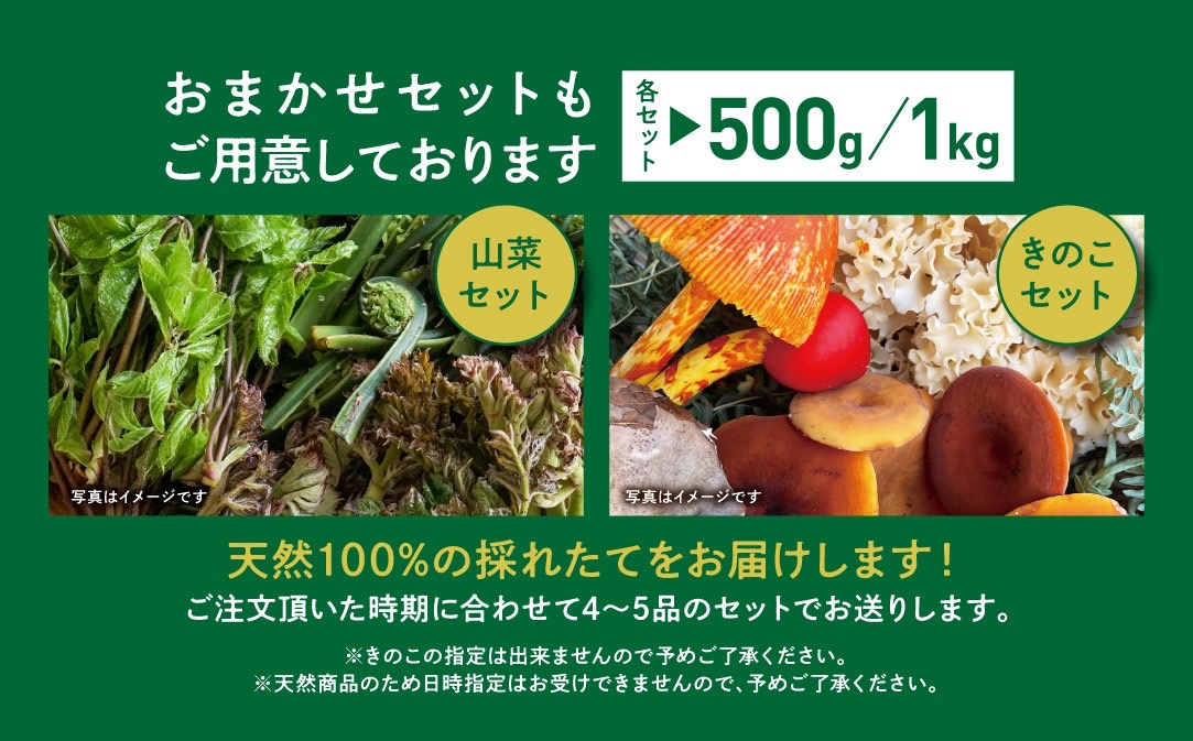 【早期予約】岩手県産 天然 土沢松茸 350g 3～5本 朝獲れ【贈答用】 【2074】