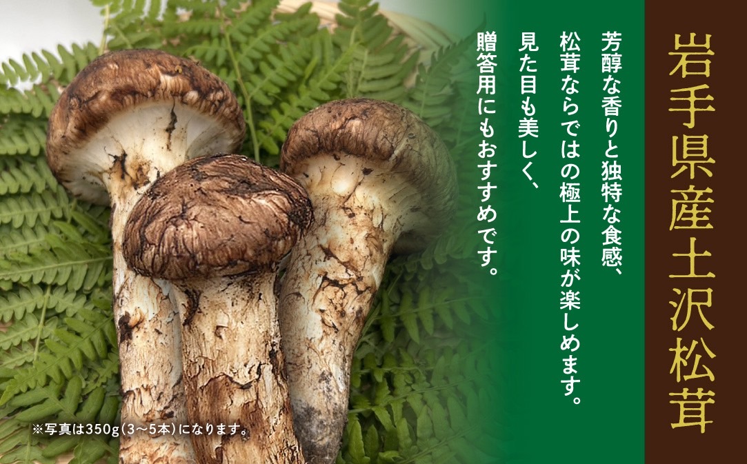 【早期予約】岩手県産 天然 土沢松茸 350g 3～5本 朝獲れ【贈答用】 【2074】