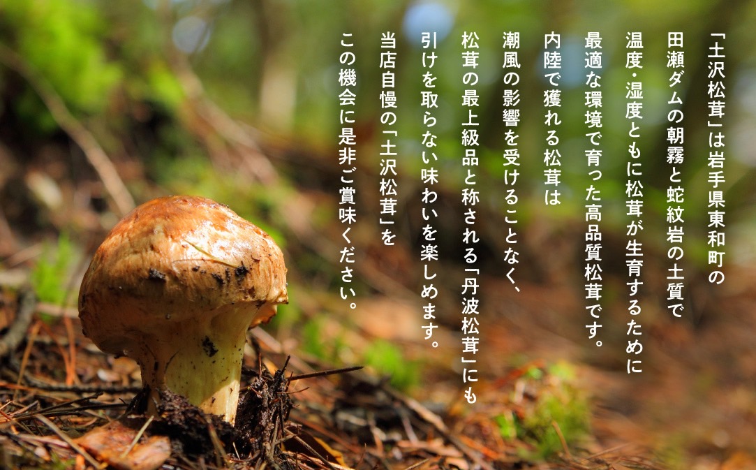 【早期予約】岩手県産 天然 土沢松茸 350g 3～5本 朝獲れ【贈答用】 【2074】