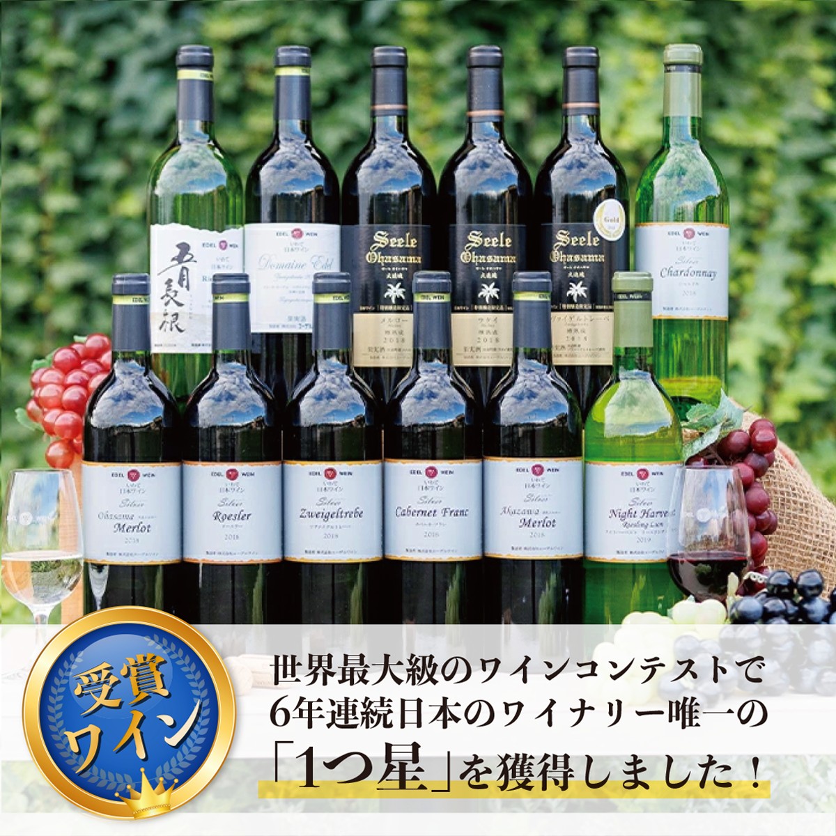 国際ワインコンクール受賞6本セット  エーデルワイン 【627】