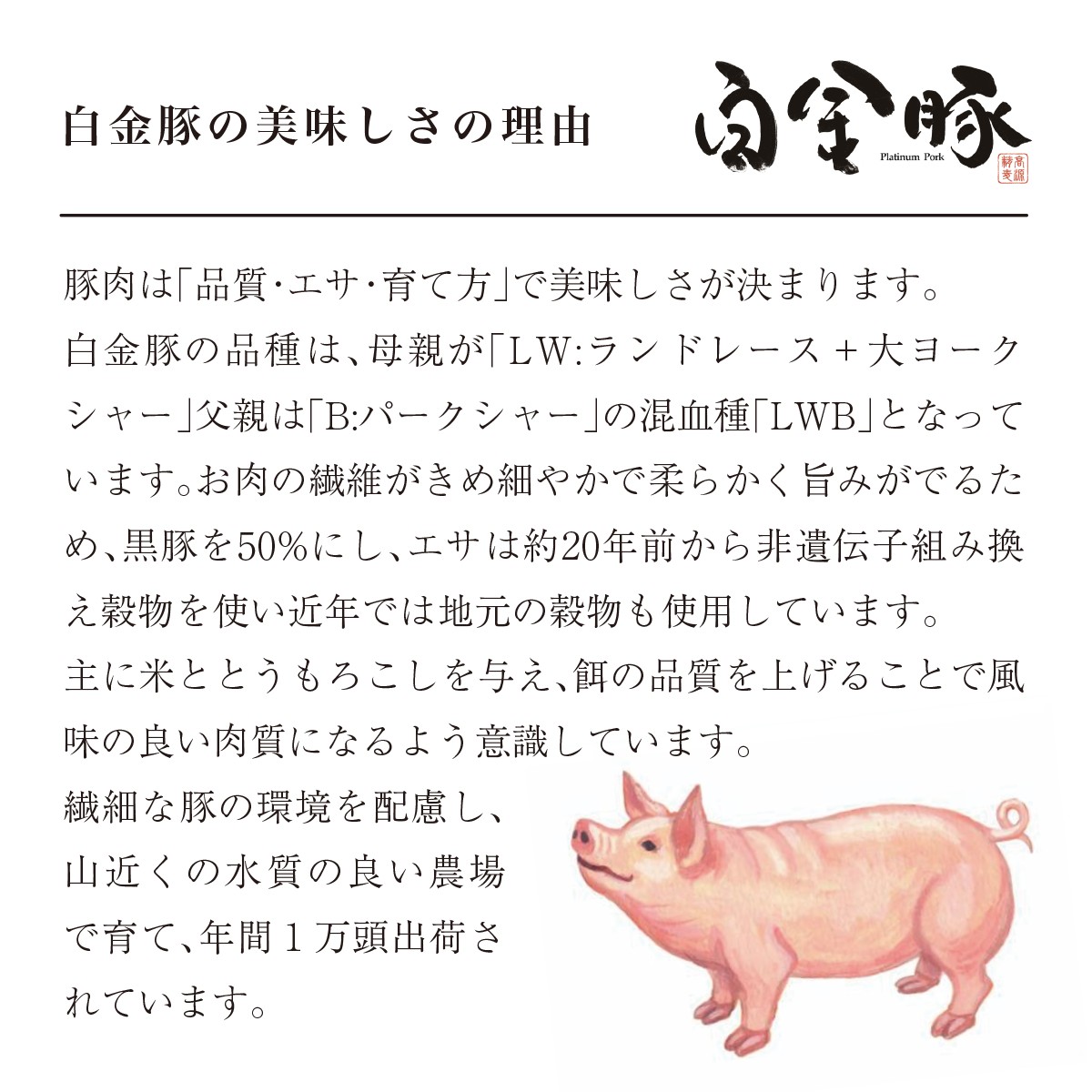 çœéè±ã¢ã¢ãããã¯500ïœÃ2ïŒç空ããã¯ïŒç
®è±ã»ãã çš å·å ã1352ã