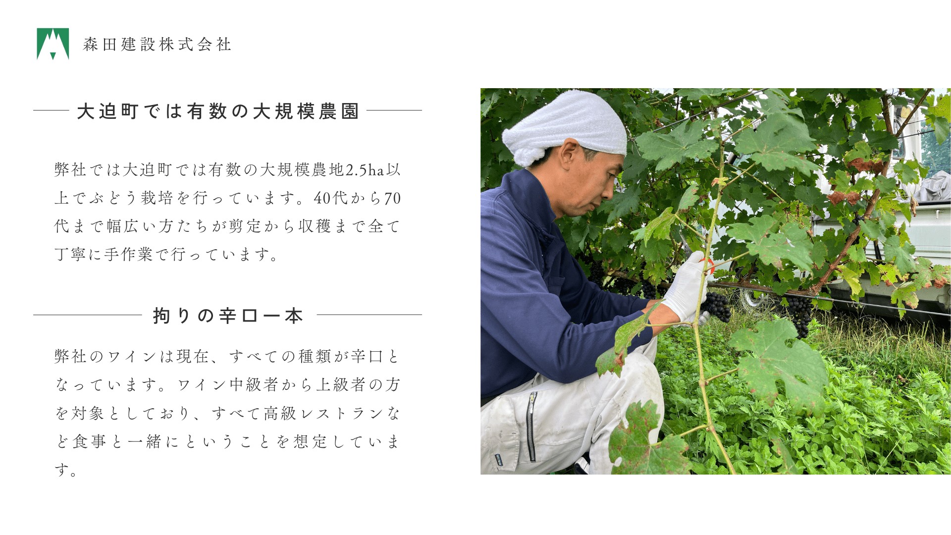 モリタワイン リースリング2023 新酒 ワイン大迫 白ワイン 【2198】