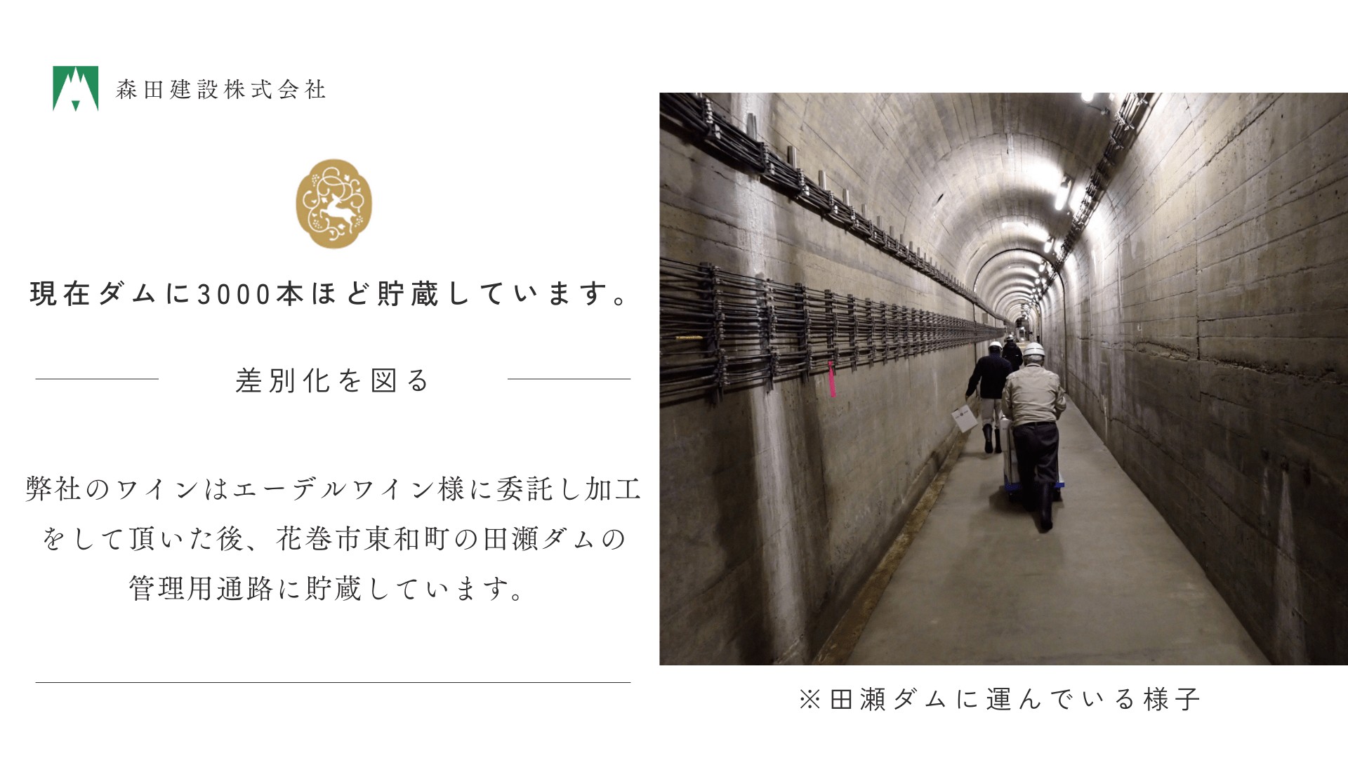 モリタワイン リースリング2023 新酒 ワイン大迫 白ワイン 【2198】