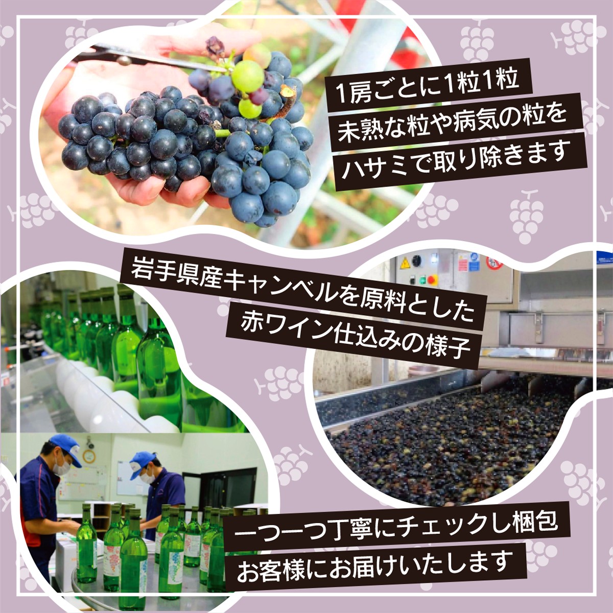 繧ィ繝シ繝繝ォ繝ッ繧、繝ウ 繧「繧ス繝シ繝6譛ャ繧サ繝繝 720mlテ6譛ャ 襍、 逋ス 繝ュ繧シ 縲2155縲