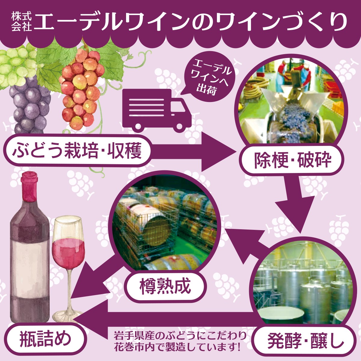 エーデルワイン ハーフサイズ勢揃い  アソート8本セット 360ml×8本 赤 白 ロゼ 【2157】