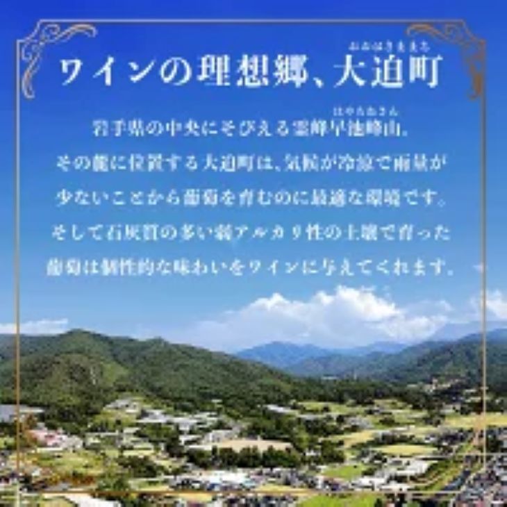 岩æçè±å·»ç£ èŸå£é£²ã¿æ¯ã¹ãšãŒãã«ã¯ã€ã³å³éžïŒæ¬ã»ãã ã387ã