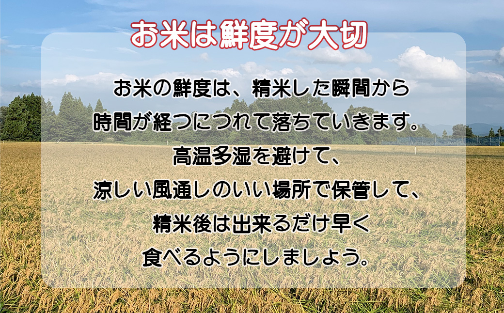 莉、蜥7蟷エ逕」闃ア蟾サ逕」驫豐ウ縺ョ縺励★縺 10kg 縲2370縲