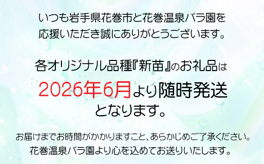 花巻温泉バラ園 オリジナル品種「ミラクルローズ90」　新苗　<2026年6月より随時発送> 【1999】