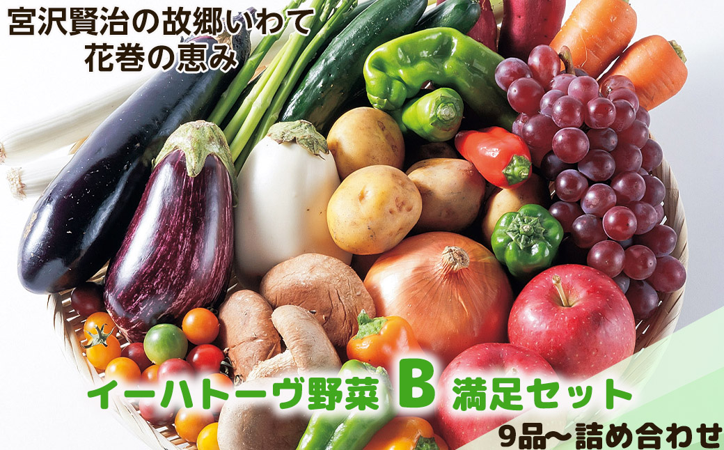 イーハトーヴ野菜B 満足セット 9品～ 詰め合わせ 【1203】