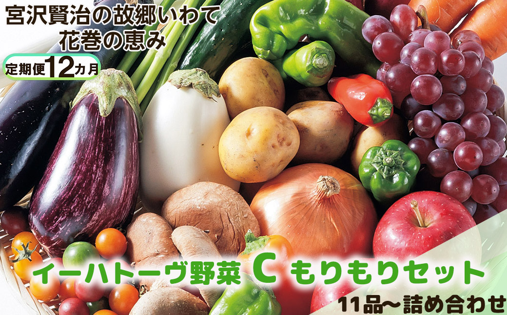 【定期便12ヶ月】イーハトーヴ野菜C もりもりセット 11品～ 詰め合わせ 【1210】