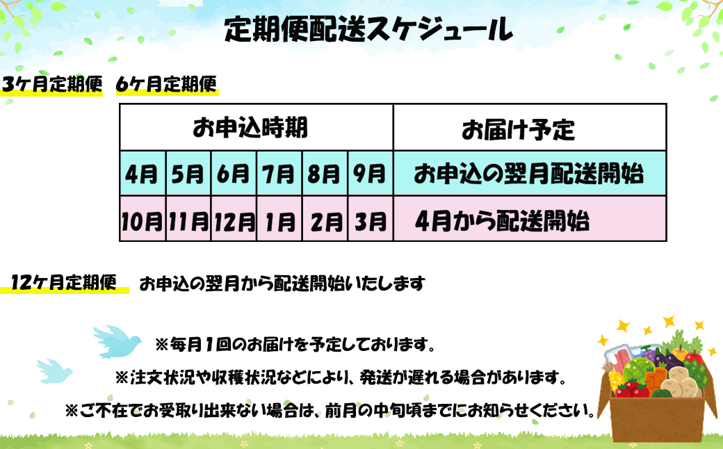 【定期便３ヶ月】イーハトーヴ野菜C もりもりセット 11品～ 詰め合わせ 【1208】