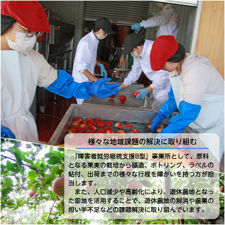 アールペイザンワイナリー　赤ワイン「メルロー」2本セット 【2377】