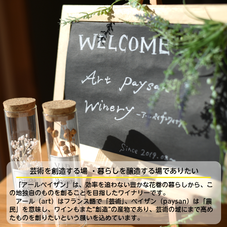 アールペイザンワイナリー　赤ワイン「メルロー」2本セット 【2377】