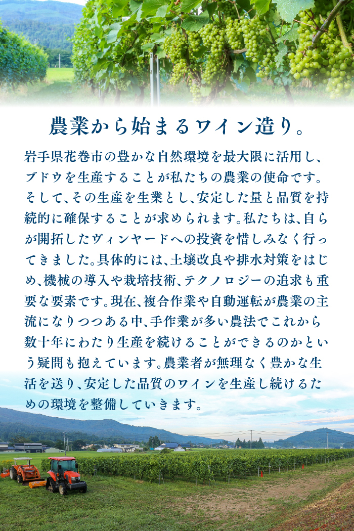 Vespinae（ベスピナエ） 2023 岩手ロゼスパークリング 750ml×1本 【1968】