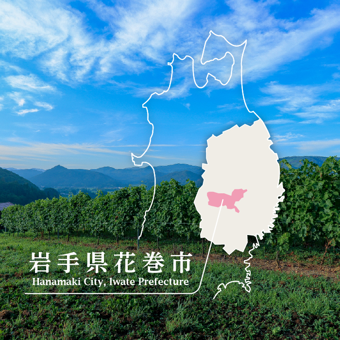 Vespinae（ベスピナエ） 2023 岩手ロゼスパークリング 750ml×1本 【1968】