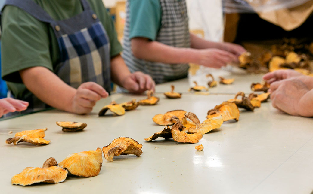 豁ッ縺斐◆縺医→譌ィ縺ソ縺梧シ蛻・シ∬干蟾サ逕」 邏疲ュ荵セ縺励>縺溘¢ 縺ゥ繧薙% 菴ソ縺蛻繧翫そ繝繝 縲665縲
