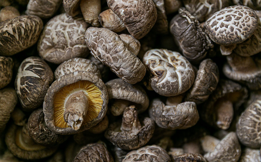 豁ッ縺斐◆縺医→譌ィ縺ソ縺梧シ蛻・シ∬干蟾サ逕」 邏疲ュ荵セ縺励>縺溘¢ 縺ゥ繧薙% 菴ソ縺蛻繧翫そ繝繝 縲665縲