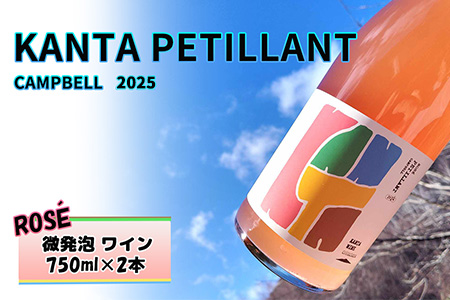 KANTA PETILLANT CAMPBELL ROSE2025 ã㌠埮çºç ² ã¯ã€ã³ 750mlÃ2æ¬ ã2430ã