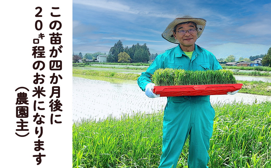 シ應サ、蜥8蟷エ逕」莠育エ蜿嶺サ假シ樣橿豐ウ縺ョ縺励★縺丞宍驕ク繝励Ξ繝溘い繝 邇邀ウ5kg 縲2232縲